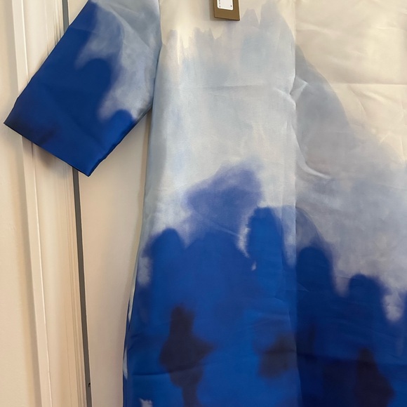 ANN MASHBURN Blue and White Dress - Picture 3 of 5